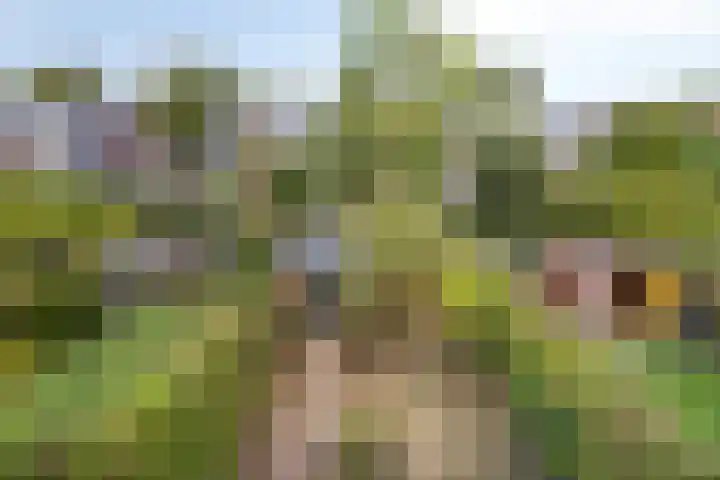 Laan van Klarenbeek 87 Arnhem thumbnail 29