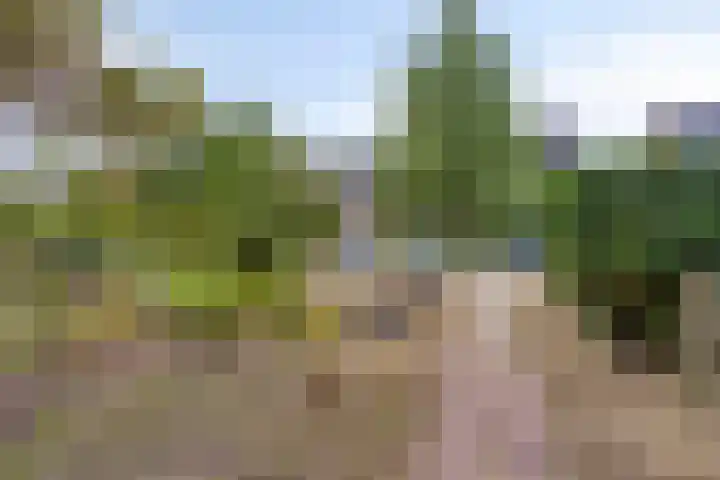 Laan van Klarenbeek 87 Arnhem thumbnail 4