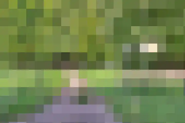 Laan van Klarenbeek 87 Arnhem thumbnail 42