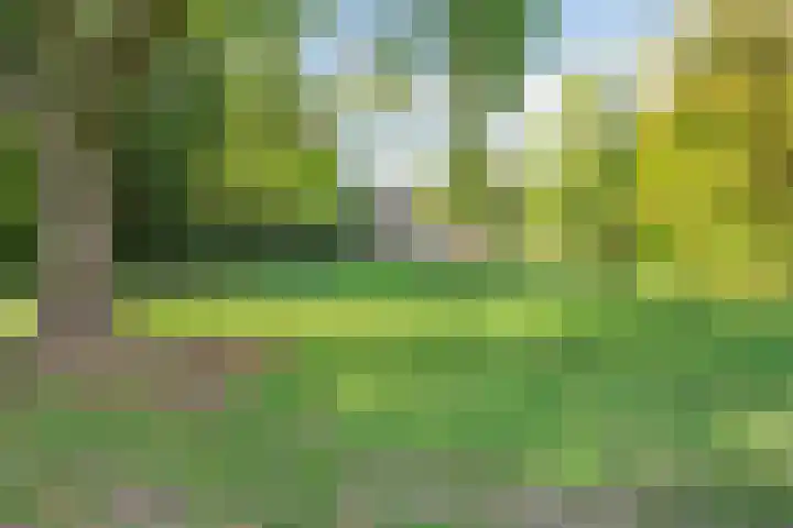 Laan van Klarenbeek 87 Arnhem thumbnail 43