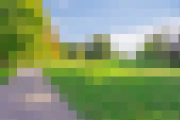 Laan van Klarenbeek 87 Arnhem thumbnail 44