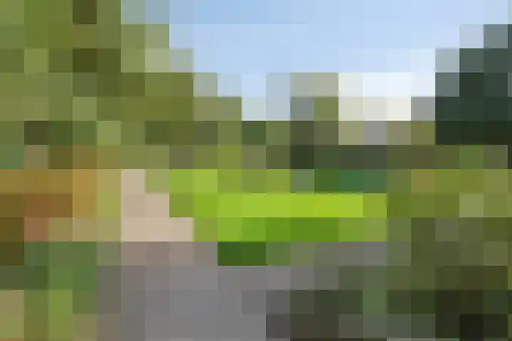 Laan van Klarenbeek 87 Arnhem thumbnail 46
