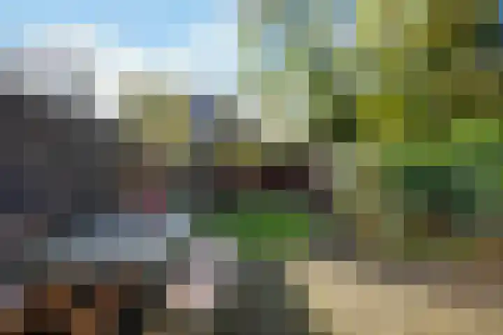 Laan van Klarenbeek 96 Arnhem thumbnail 18