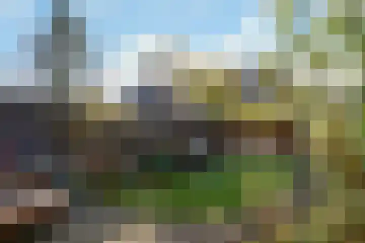 Laan van Klarenbeek 96 Arnhem thumbnail 19