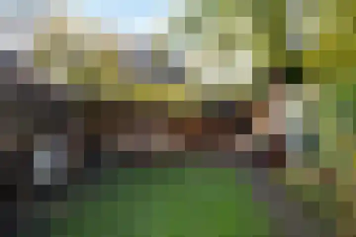 Laan van Klarenbeek 96 Arnhem thumbnail 20