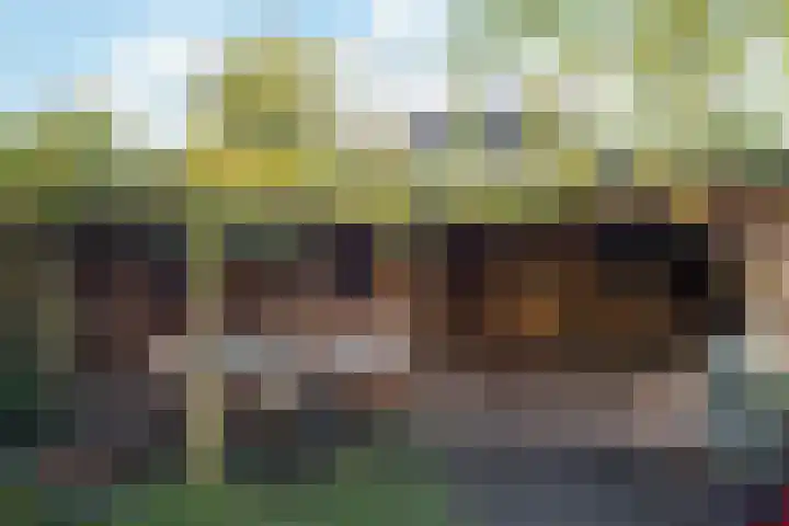 Laan van Klarenbeek 96 Arnhem thumbnail 21