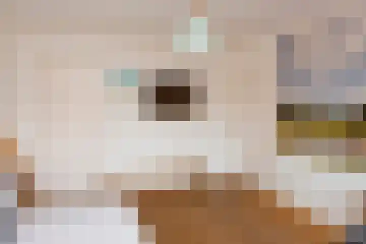 Laan van Klarenbeek 96 Arnhem thumbnail 32