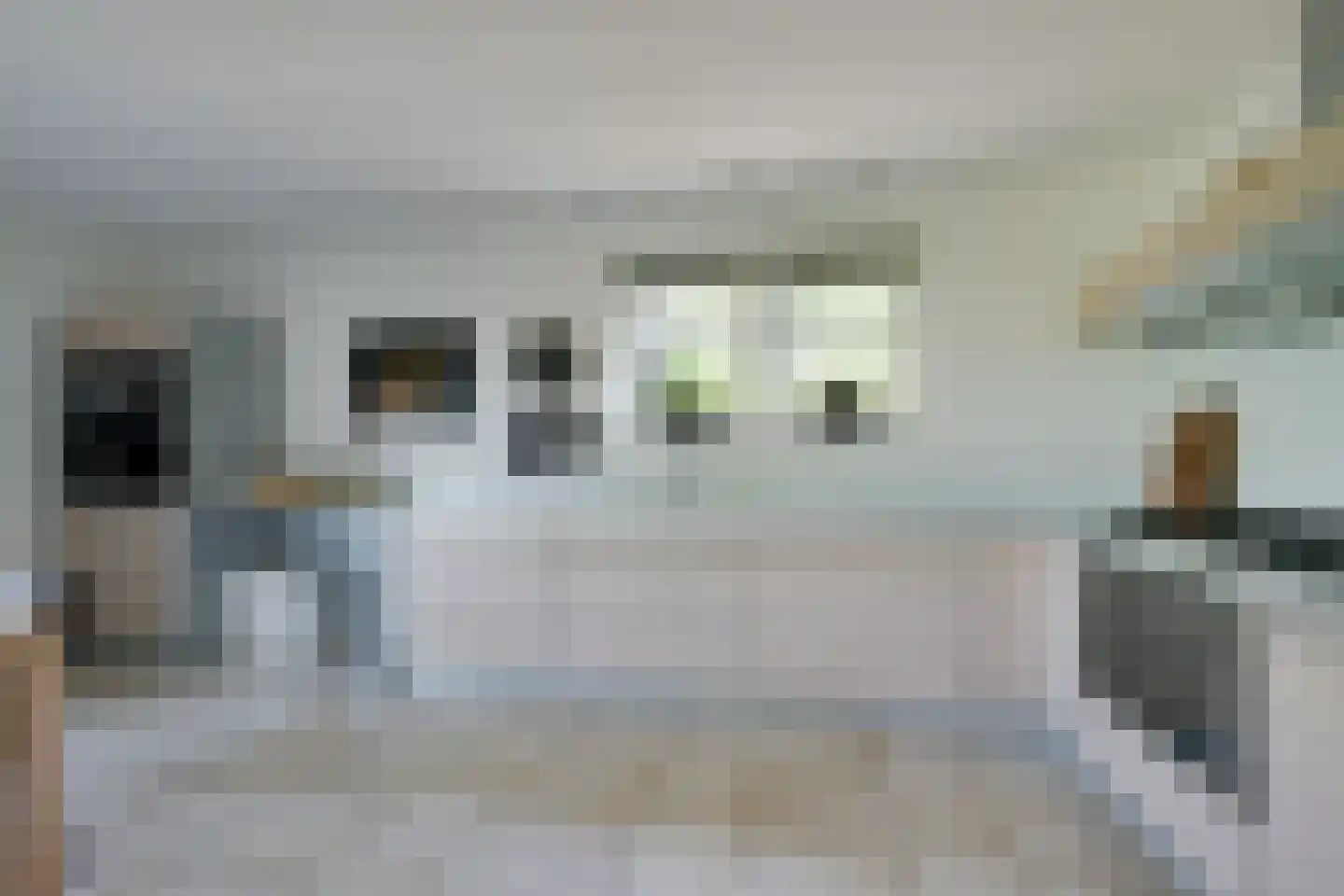 Laan van Kobus 12 Aalten thumbnail 17