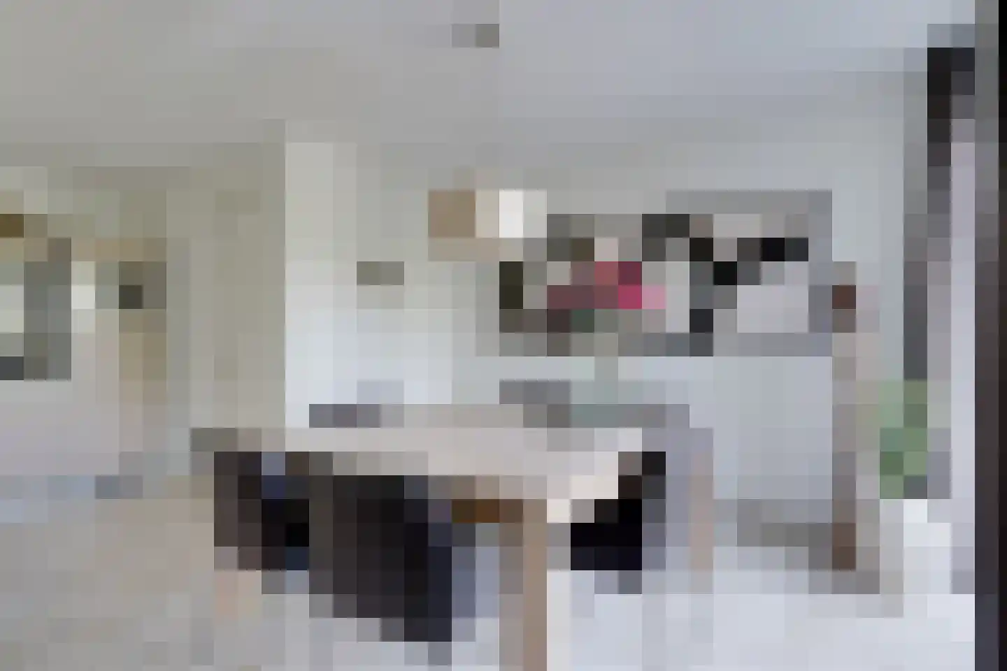 Laan van Kobus 12 Aalten thumbnail 19