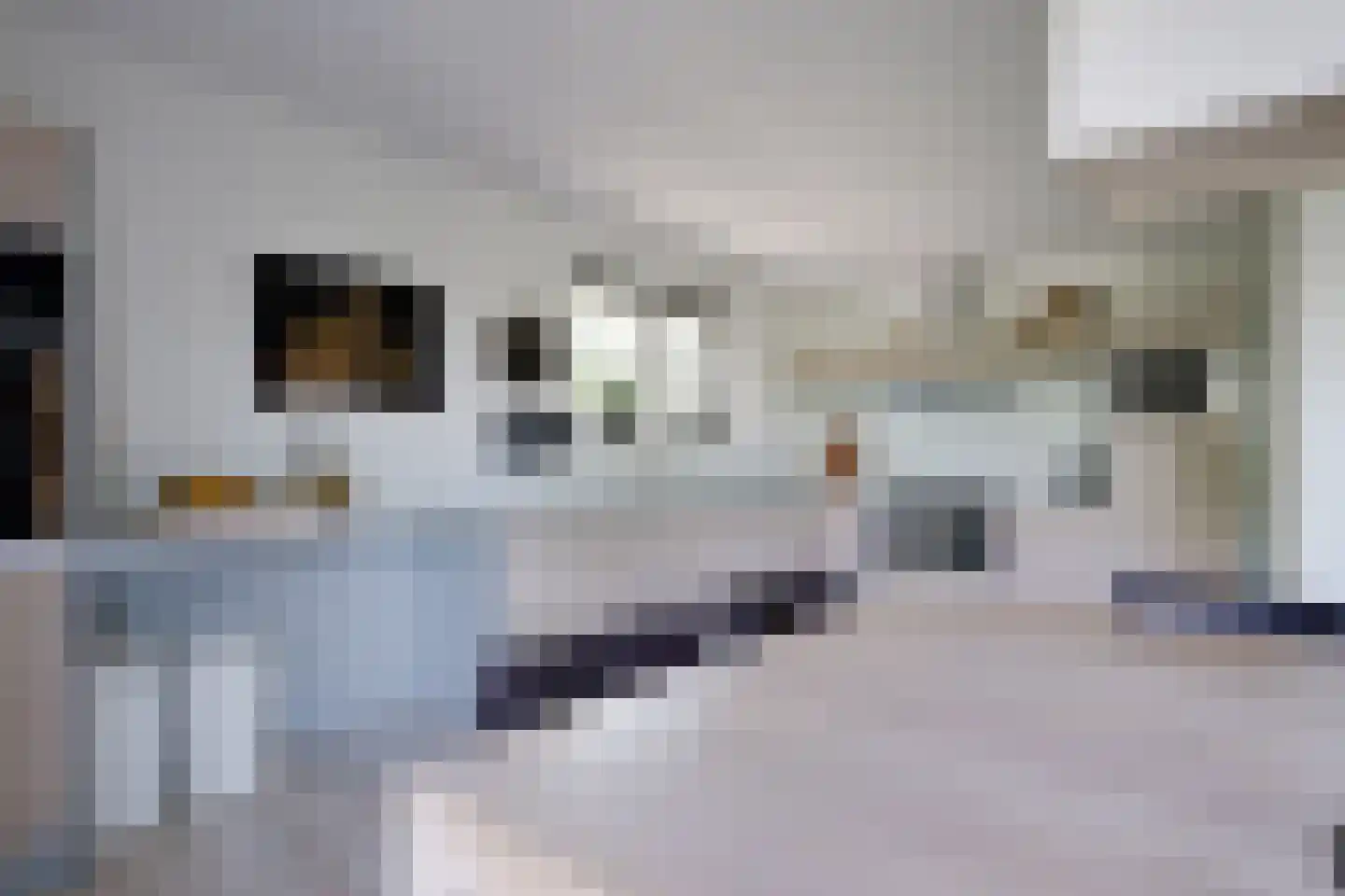 Laan van Kobus 12 Aalten thumbnail 20