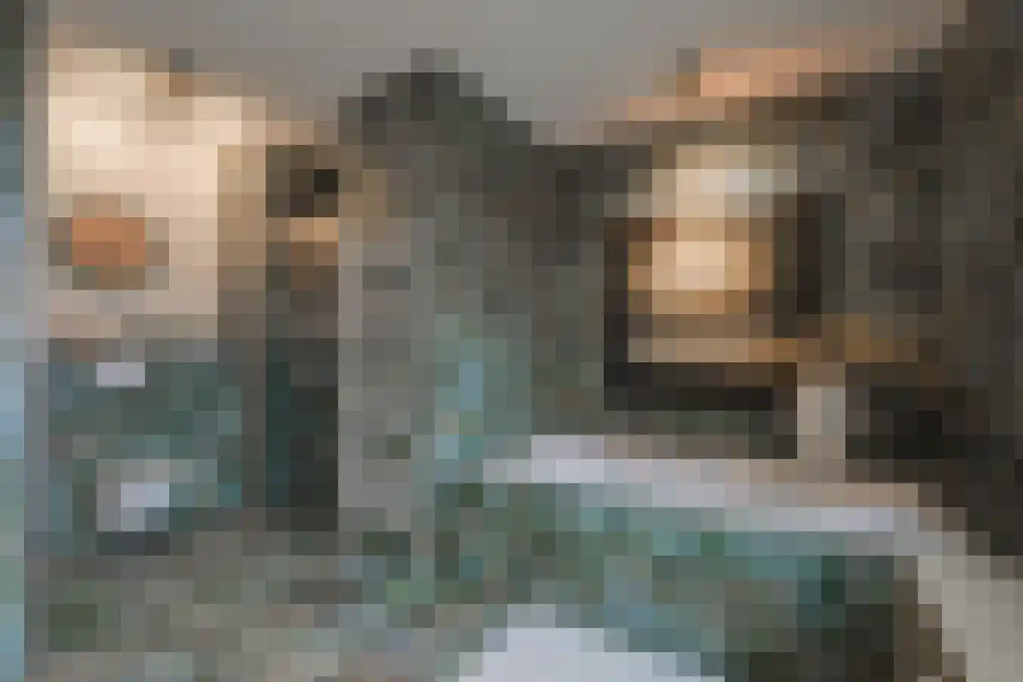 Laan van Kobus 12 Aalten thumbnail 36