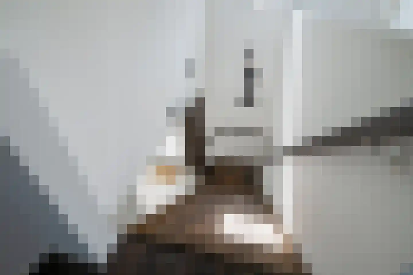 Laan van Kobus 12 Aalten thumbnail 42