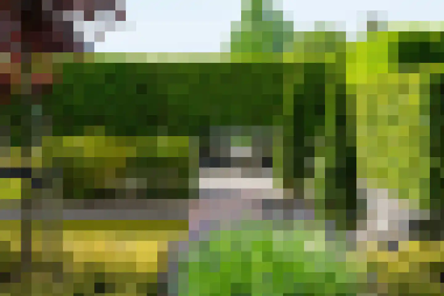 Laan van Kobus 12 Aalten thumbnail 51