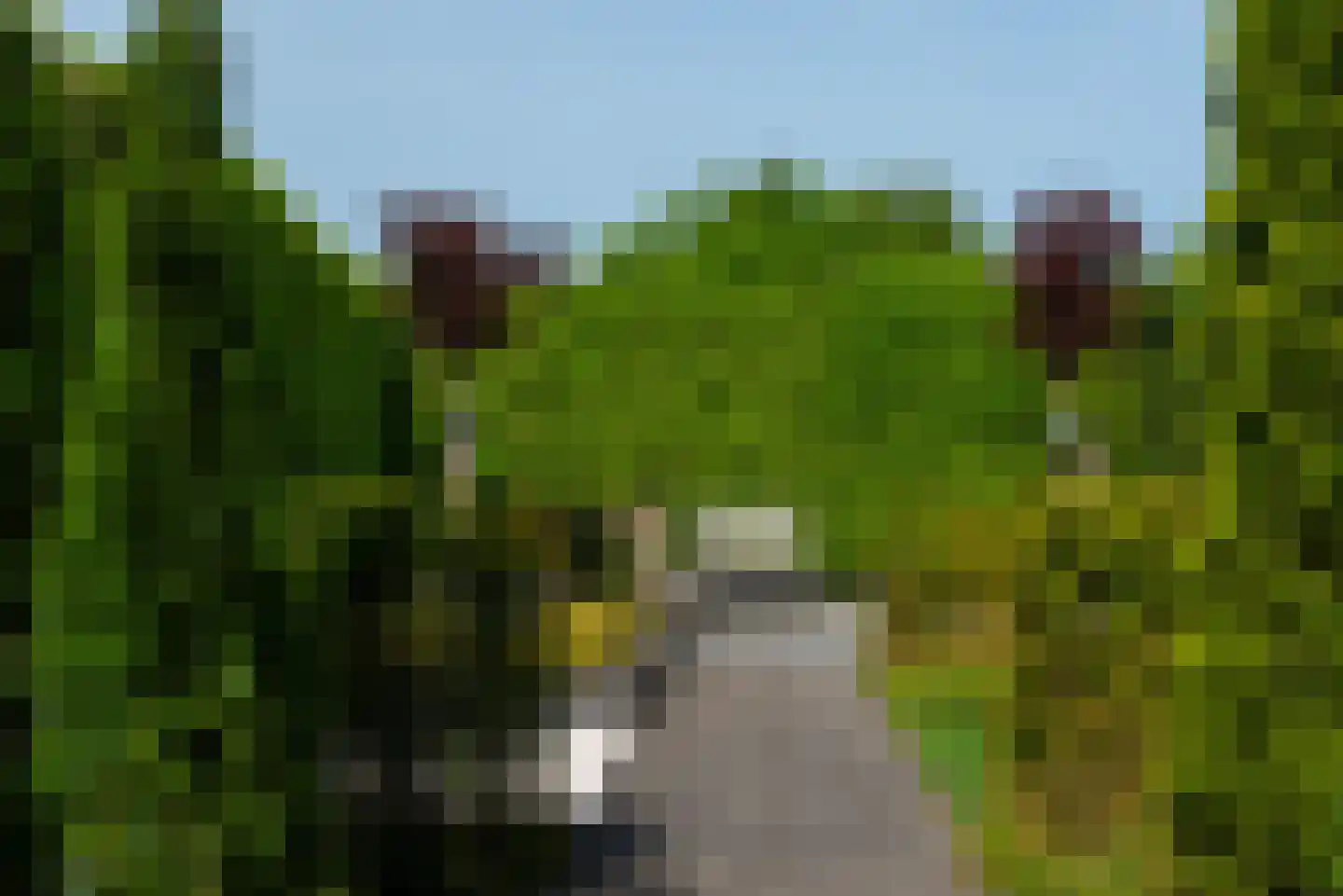 Laan van Kobus 12 Aalten thumbnail 54