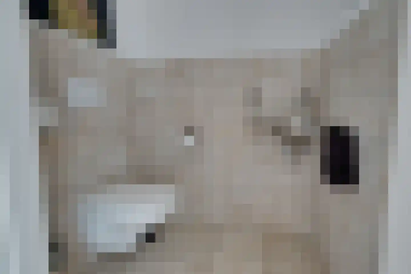 Laan van Kobus 12 Aalten thumbnail 9