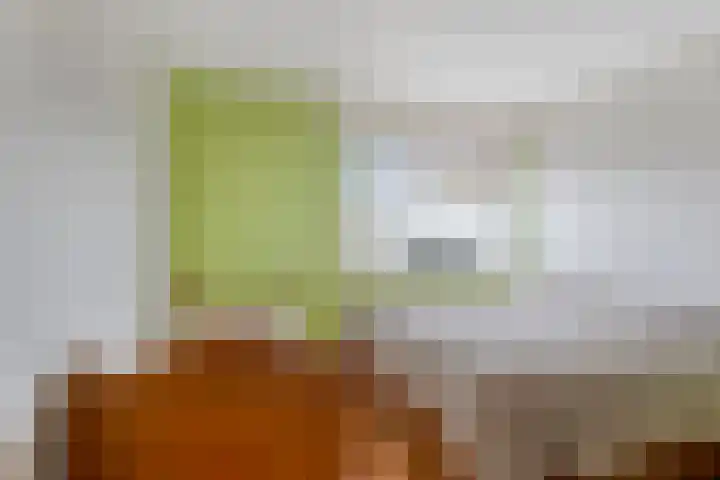 Laan van Kobus 8 Aalten thumbnail 21