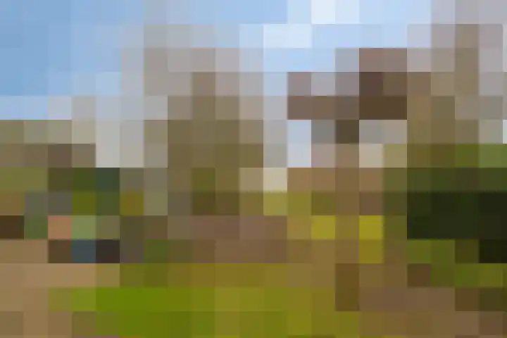 Laan van Kobus 8 Aalten thumbnail 32