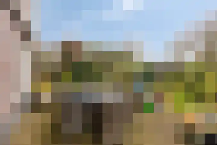 Laan van Kobus 8 Aalten thumbnail 33