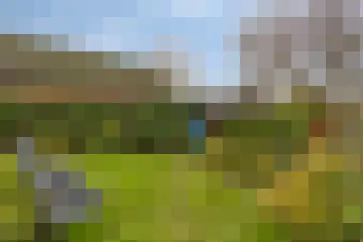 Laan van Kobus 8 Aalten thumbnail 34