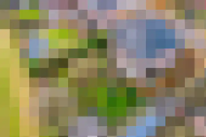 Laan van Kobus 8 Aalten thumbnail 37