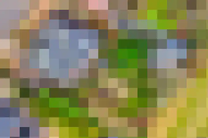 Laan van Kobus 8 Aalten thumbnail 39