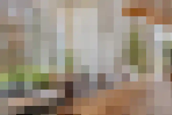 Laan van Kobus 8 Aalten thumbnail 9