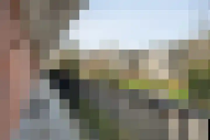 Laan van Kortrijk 105 Almelo thumbnail 20
