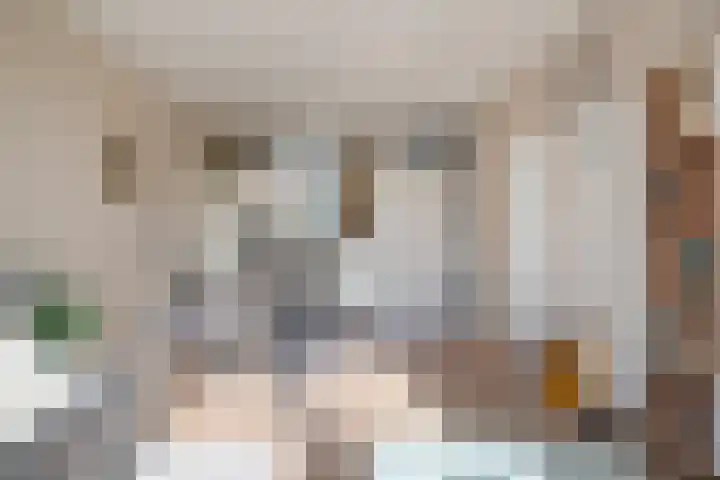 Laan van Kortrijk 105 Almelo thumbnail 7