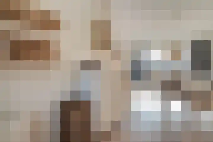 Laan van Kortrijk 105 Almelo thumbnail 8