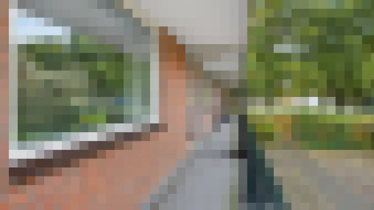 Laan van Kortrijk 37 Almelo thumbnail 4