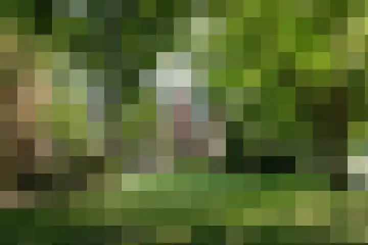 Laan van Kortrijk 59 Almelo thumbnail 32