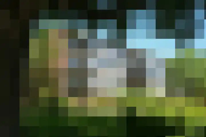 Laan van Kortrijk 59 Almelo thumbnail 37