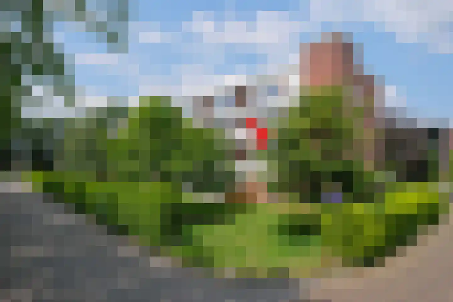 Laan van Kortrijk 93 Almelo thumbnail 14