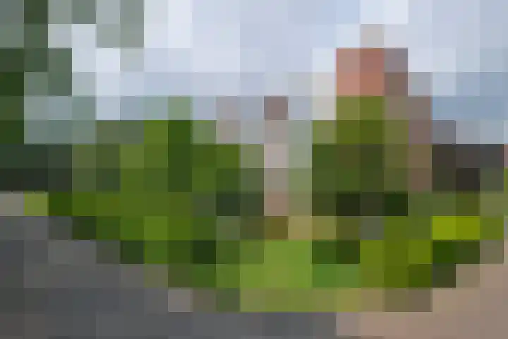 Laan van Kortrijk 95 Almelo thumbnail 16