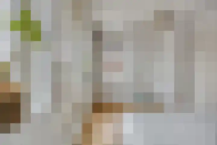 Laan van KVL 17 Oisterwijk thumbnail 15