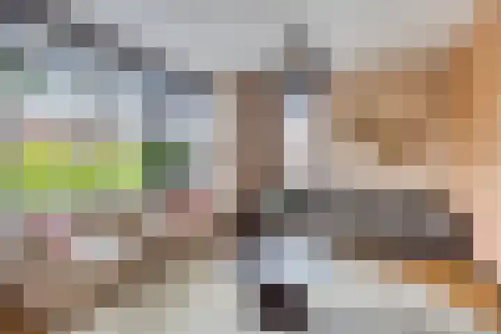 Laan van KVL 17 Oisterwijk thumbnail 4