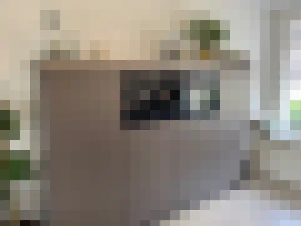 Laan van KVL 21 Oisterwijk thumbnail 5
