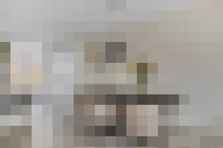Laan van KVL 35 Oisterwijk thumbnail 10