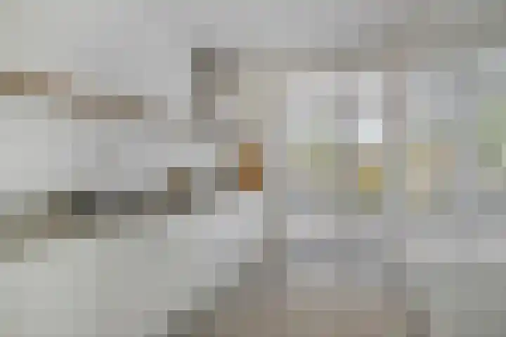 Laan van KVL 35 Oisterwijk thumbnail 13