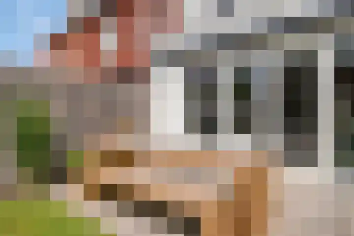Laan van KVL 35 Oisterwijk thumbnail 36