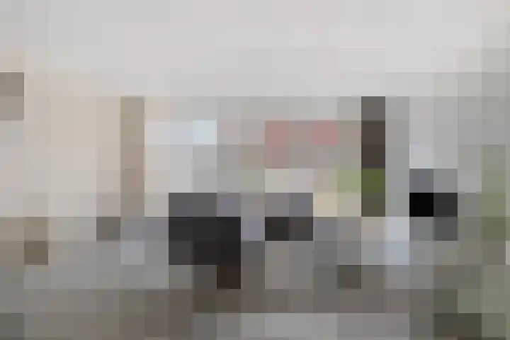 Laan van KVL 35 Oisterwijk thumbnail 5