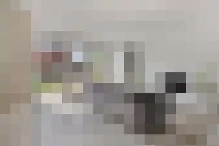 Laan van KVL 35 Oisterwijk thumbnail 8