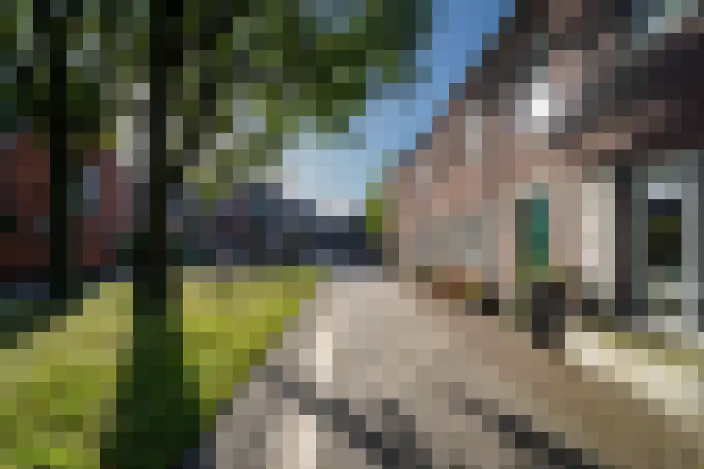 Laan van KVL 49 Oisterwijk thumbnail 10