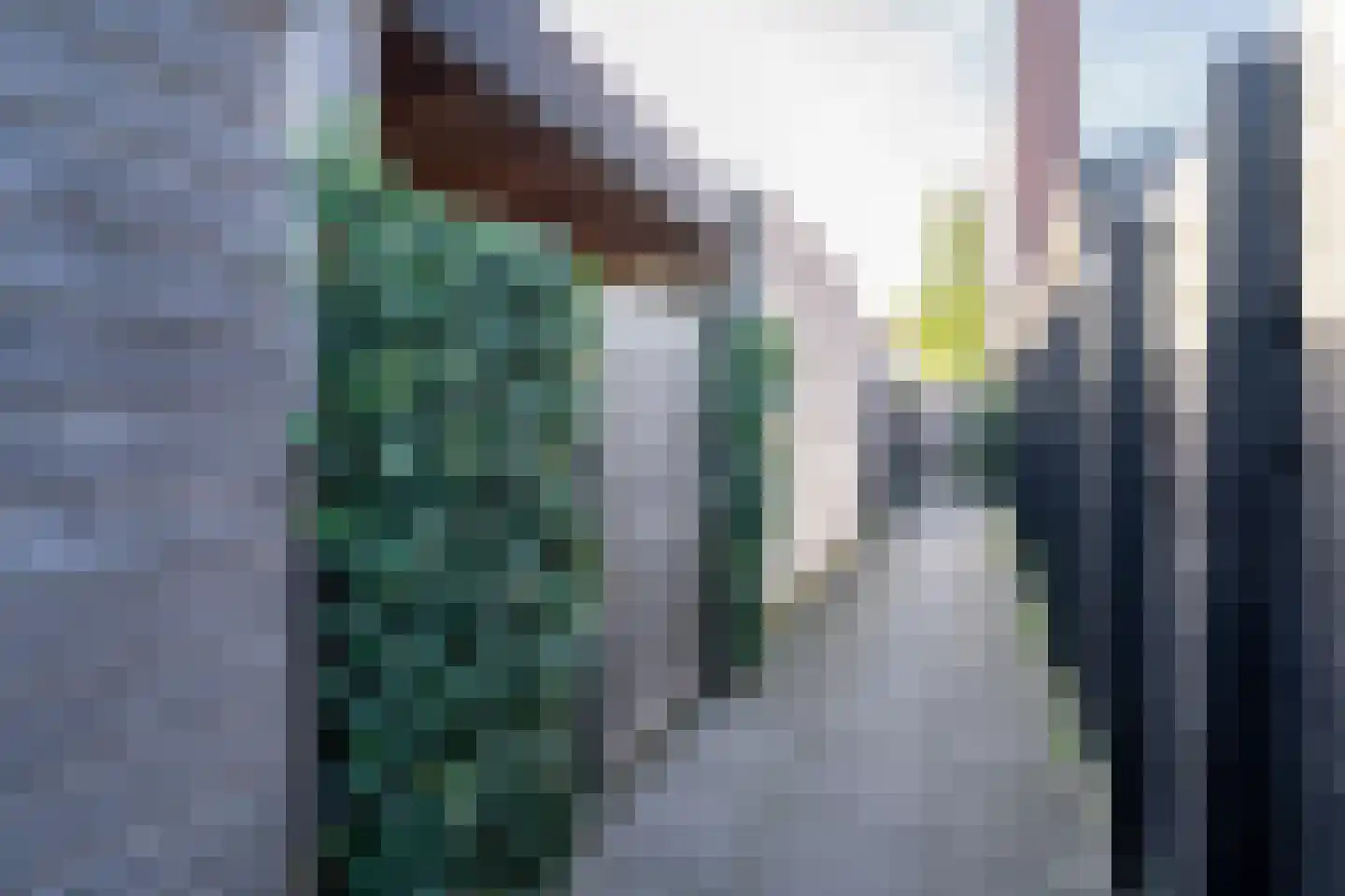 Laan van KVL 49 Oisterwijk thumbnail 46