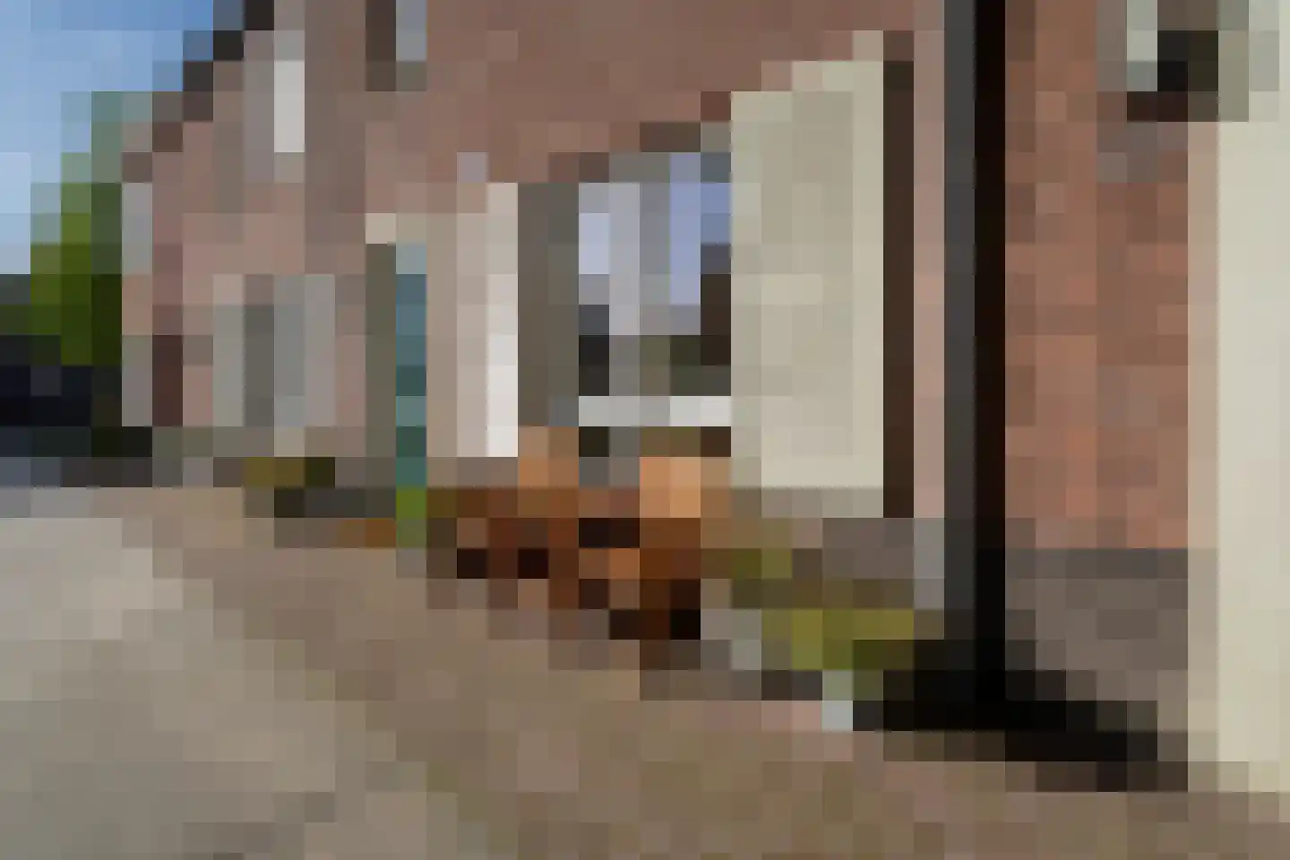 Laan van KVL 49 Oisterwijk thumbnail 9