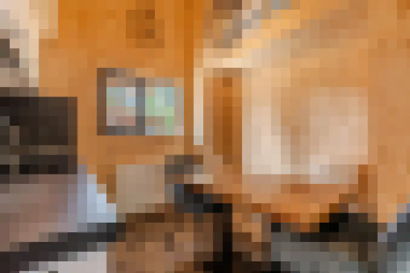 Laan van Laag Kanje 1 Maarn thumbnail 10