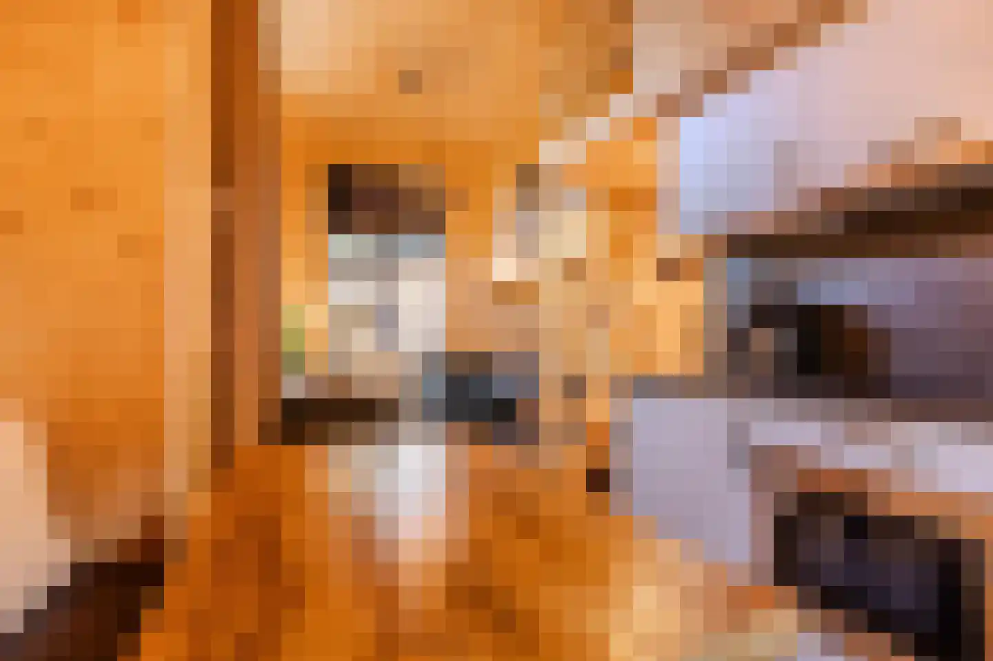 Laan van Laag Kanje 1 Maarn thumbnail 11