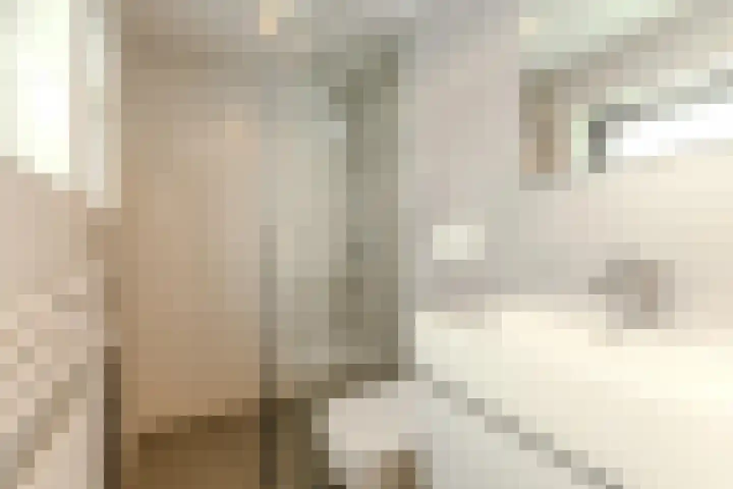 Laan van Laag Kanje 1 Maarn thumbnail 14