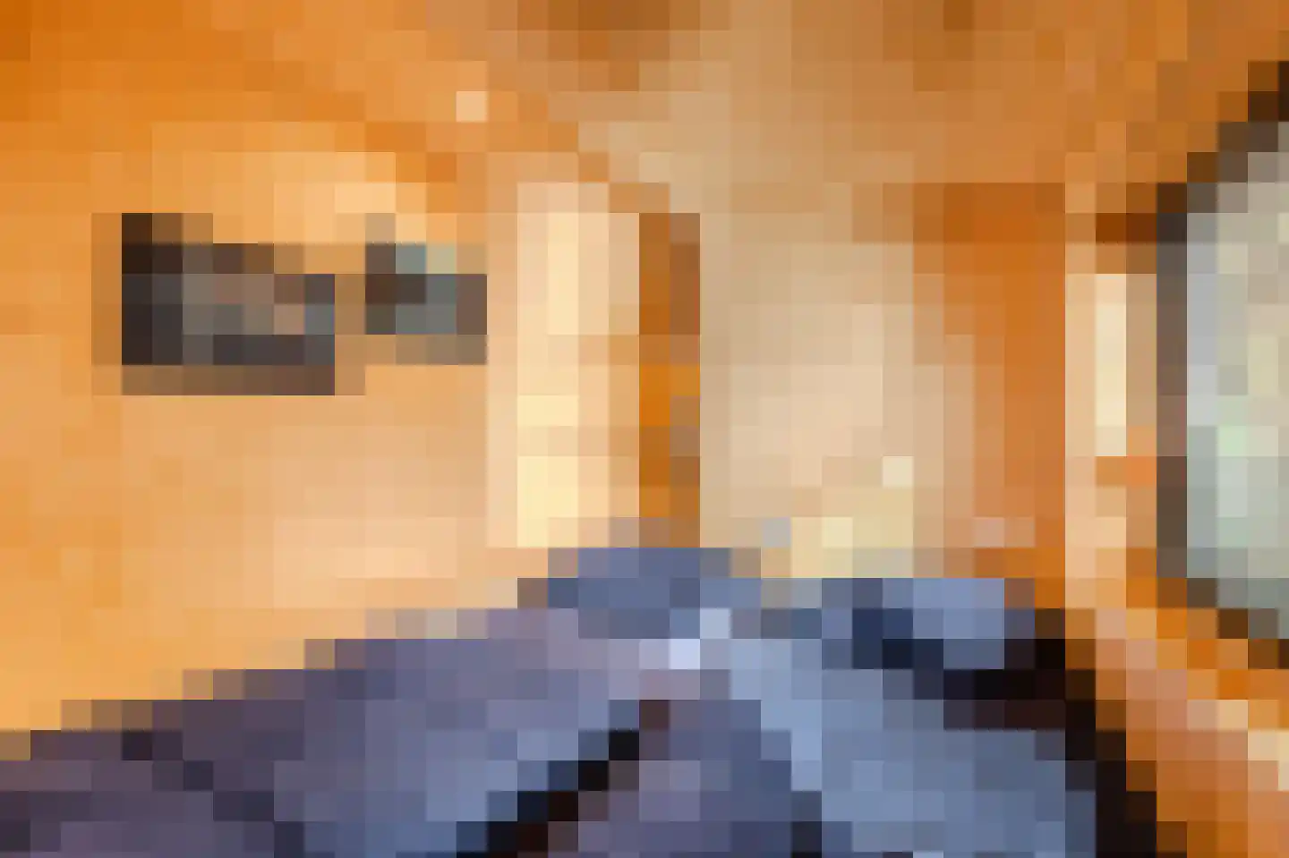 Laan van Laag Kanje 1 Maarn thumbnail 17