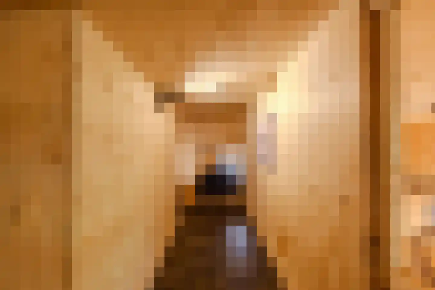 Laan van Laag Kanje 1 Maarn thumbnail 18
